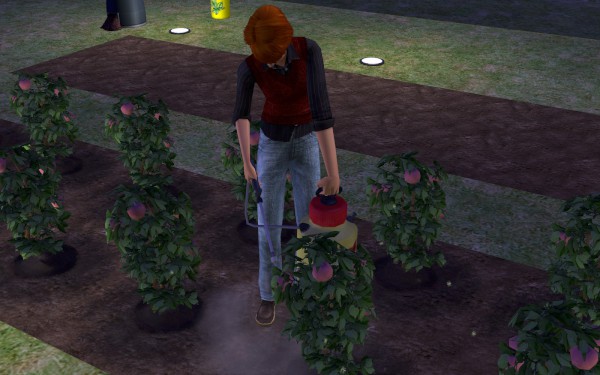 Lakewood_round3_075-600x375