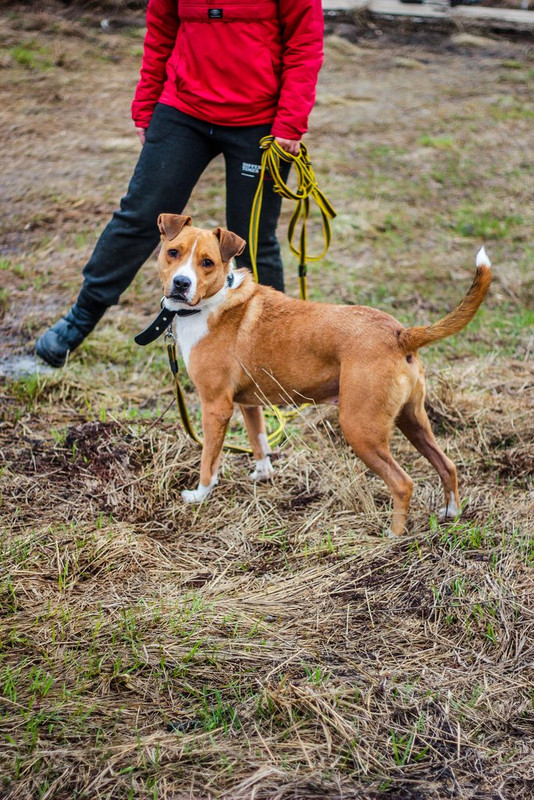 без имени-1177