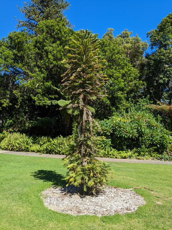 PXL_20240311_023445336