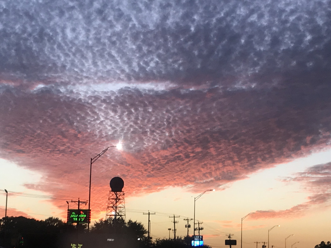 EF3C07E5-D672-48BD-96D9-9EC095176266