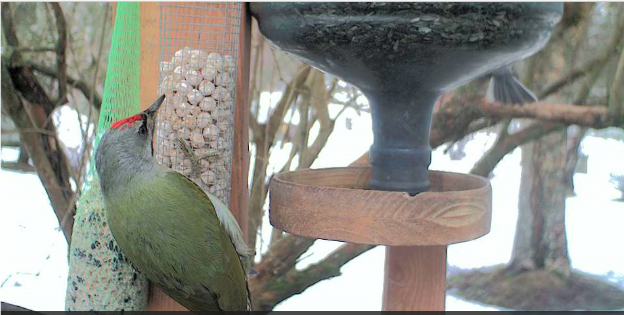 Képernyőkép – 2019-03-10 12-05-00