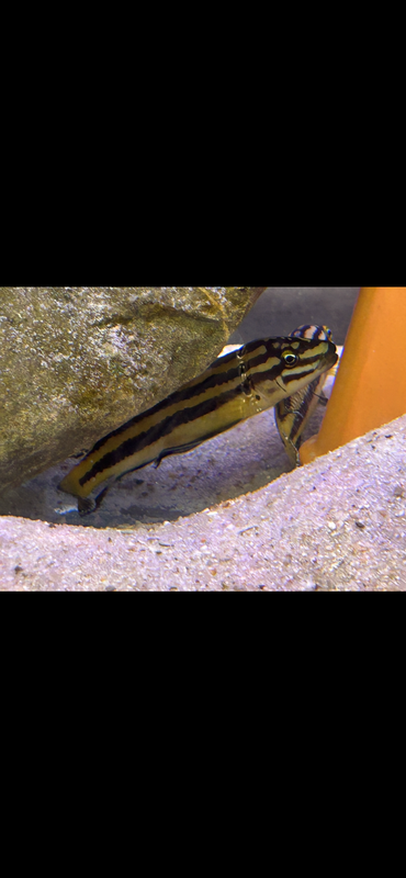 C97AD907-8FD7-4EAA-9F75-6AE4EFD9F4F9