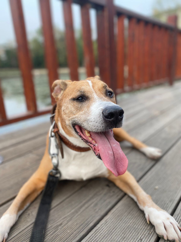 66DD26E0-A50A-4077-9E5D-A17C6A151347