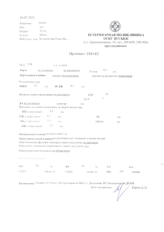 Миша_ЭХО-КГ