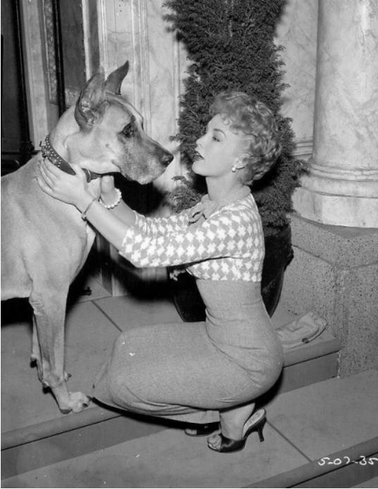 Barbara_Eden_b31