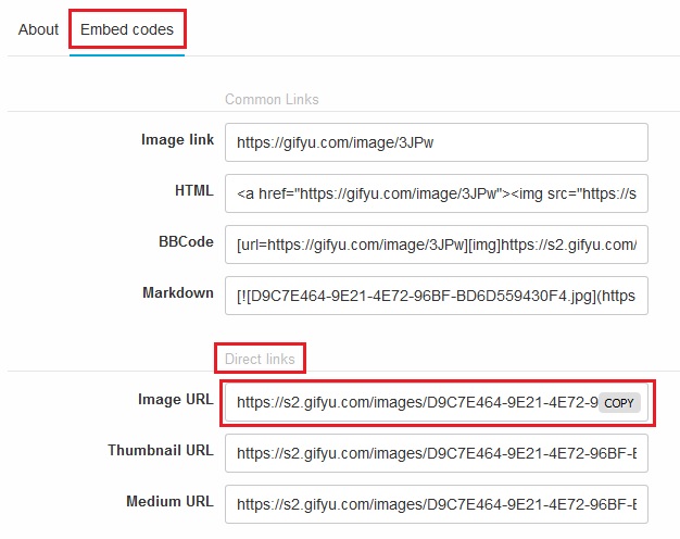 gifyu-image-url.jpg