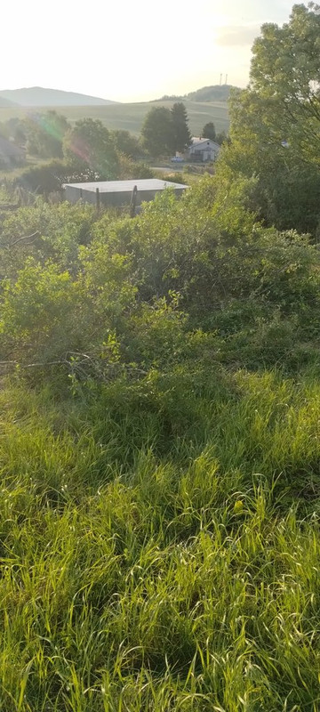 IMG-1fb524daf6400014af8fd87048d9b24b-V