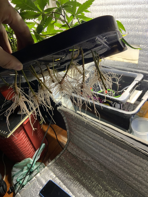 AE99B424-6672-4115-B501-C535C7CF9FB8