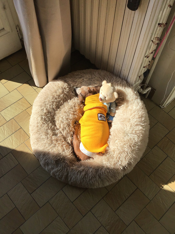 [Image: 6-E384212-EDB0-4502-AD1-C-8-F294000-B98-E.jpg]