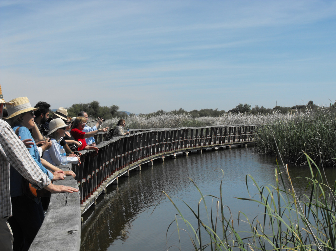 Tablas-de-Daimiel-03