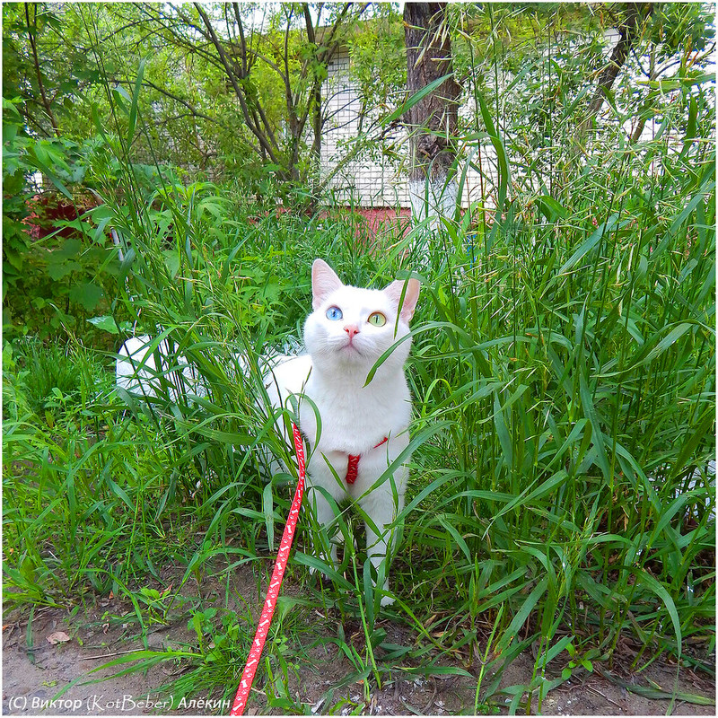 Изображение 045 копия