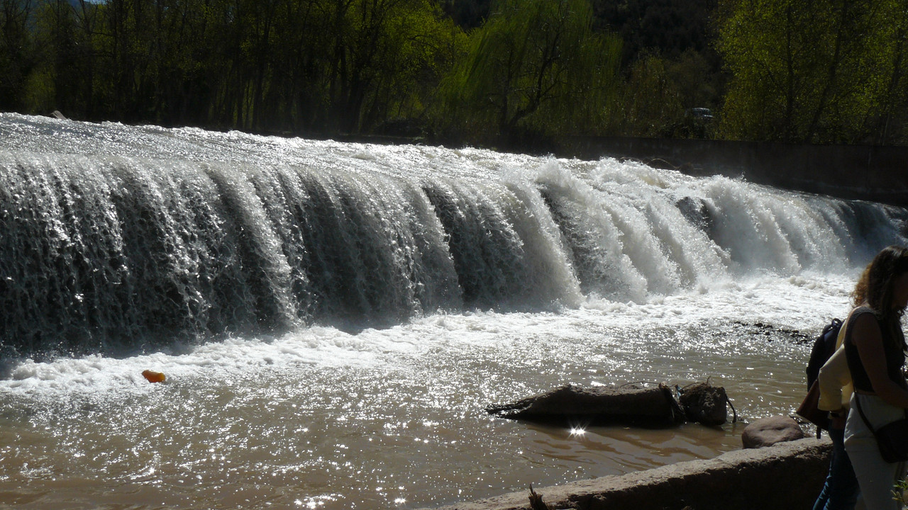 [Obrazek: P1120636.jpg]