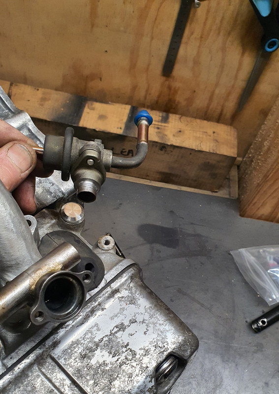 20230729_175029 (Custom)