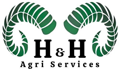 1H H Logo