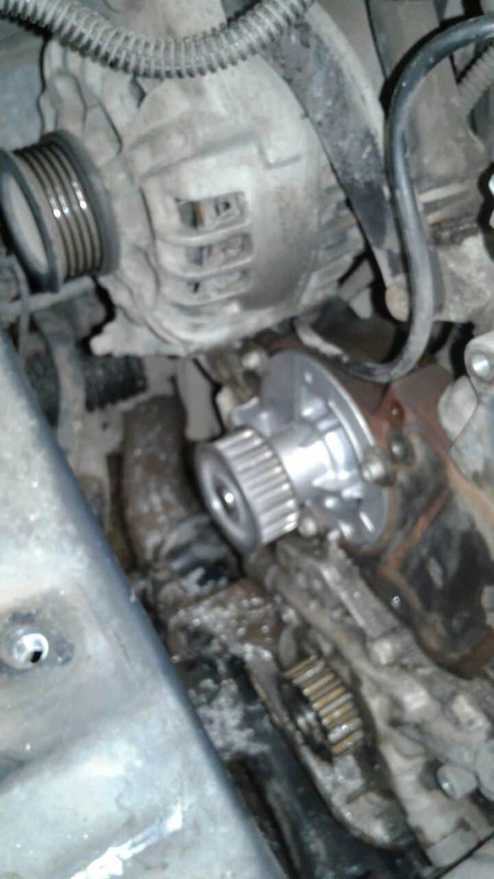 WhatsApp Image 2016-08-04 at 13.45.26