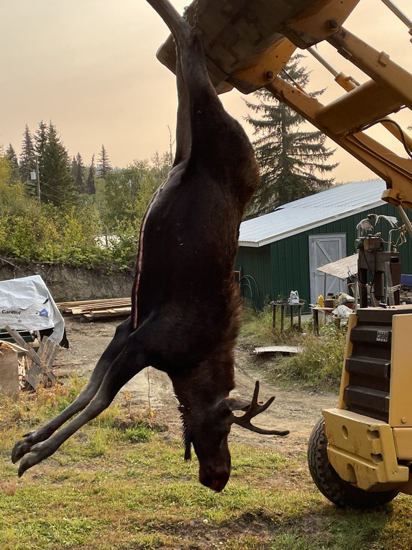 3F4BAE94-4C8D-475E-B849-1A86B28B55C4