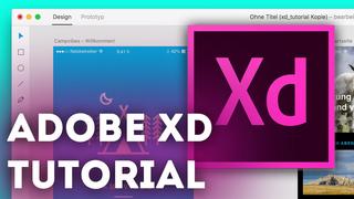 Learn Basic Adobe XD