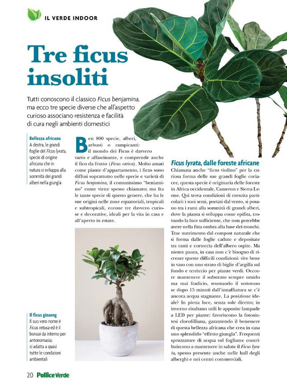 Pol Ver Ago 2023 (3)