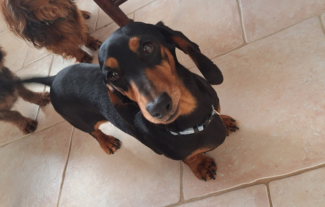 [Image: 20251126-094624.jpg]