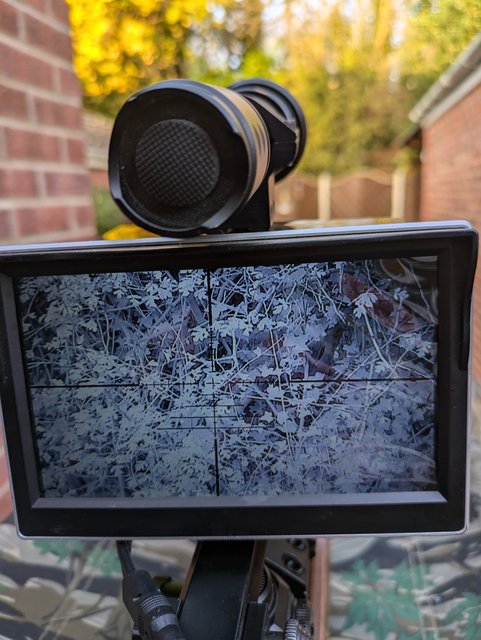 PXL_20241114_150334794