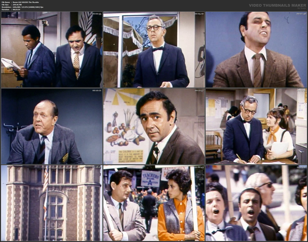 Room 222 S01E05 The Flu.mkv