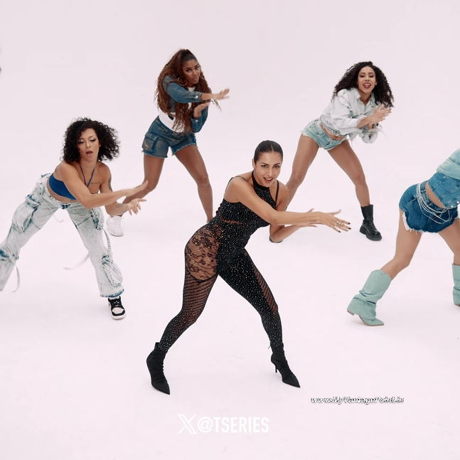 10-Malaika-Arora-Hot-in-Chillgum-Song-by-Yo-Yo-Honey-Singh-My-Vantage-Point