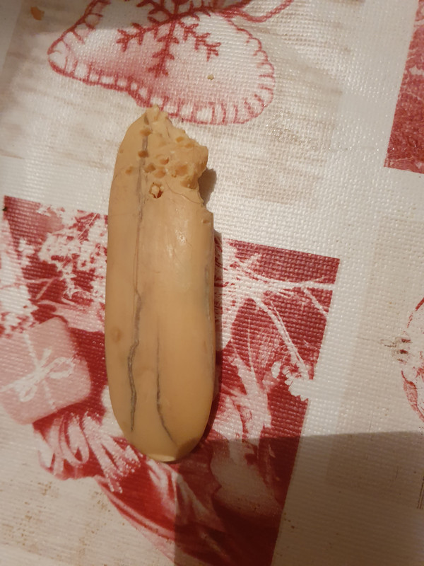 [Image: 20220424-211435.jpg]