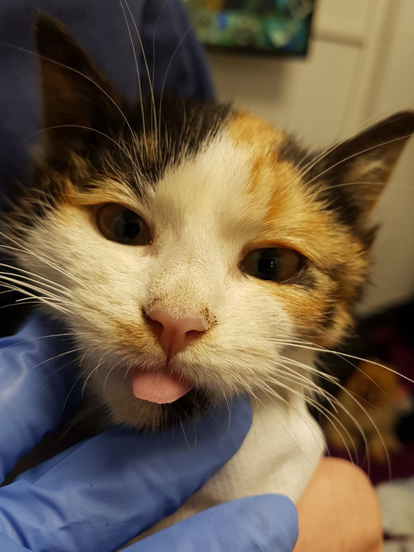 276E51E4-0806-4A75-88DB-573848C73D2D