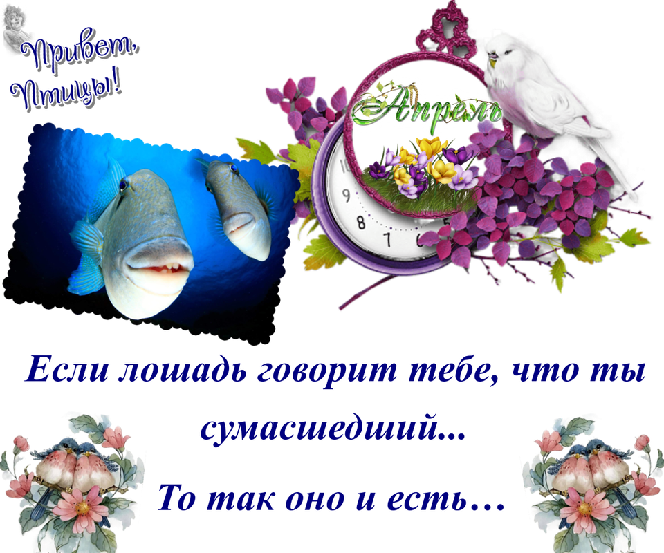 https://i.postimg.cc/sgwfLSnC/17-04.png