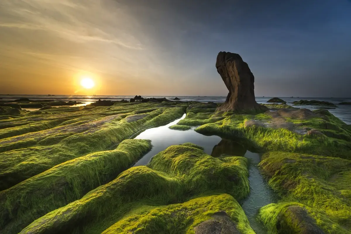 green-coast-3358820-1280.webp