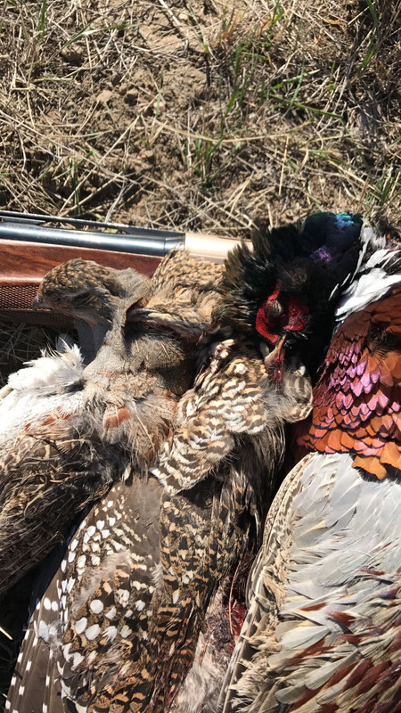 80DF6A63-A6CE-4DEE-8E2F-5B745189E427