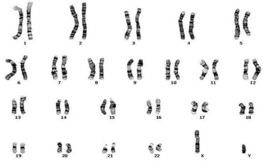 Gynecology question 3 image