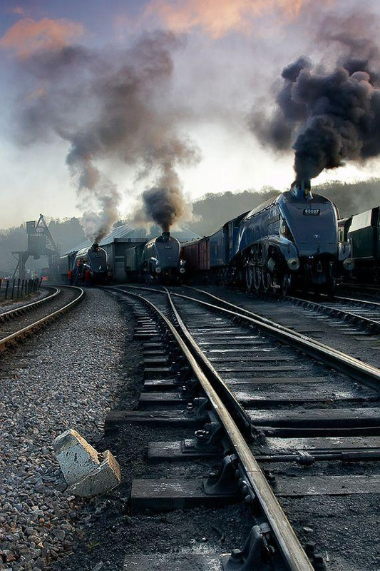 post-335-0-69380000-1547010526