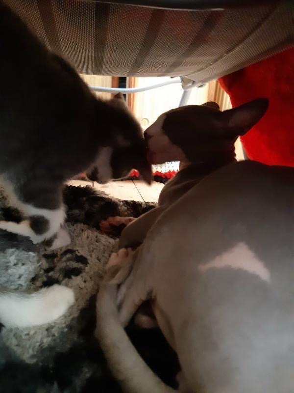 4A360B41-0E80-4A11-A03D-CE88A82648D7