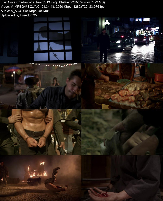 Ninja-Shadow-of-a-Tear-2013-720p-Blu-Ray