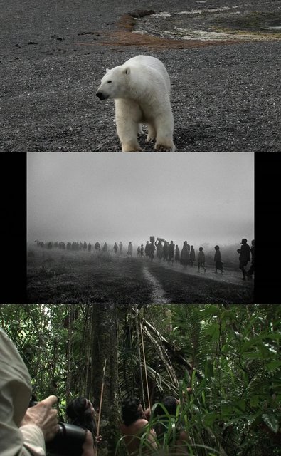 Il Sale Della Terra (2020) mkv DOC HD 720p HDTV x264 AC3 ITA