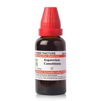 Willmar Schwabe India Eupatorium Cannabinum 1X (Q) (30ml)