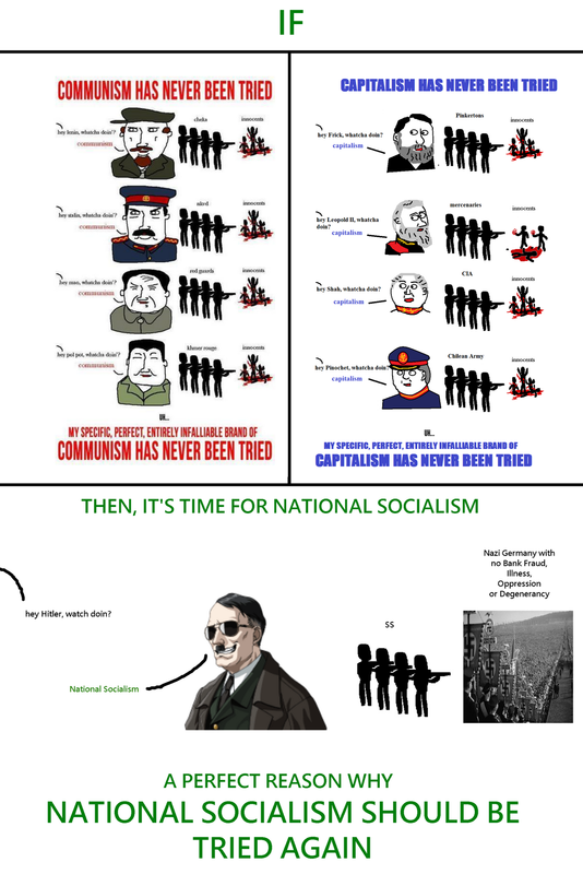 National-Socialism-should-be-tried-again.png