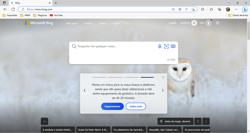 A imagem é um print do navegador Microsoft Edge aberto na página inicial do Bing. Nela mostra ao fundo uma coruja branca em um plano de fundo branco no tom de neve.