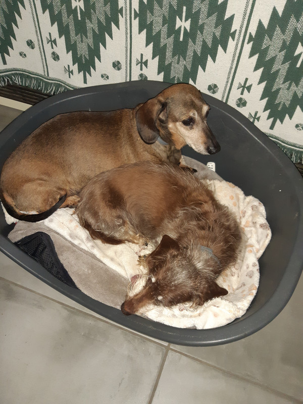 [Image: 20200721-162958.jpg]