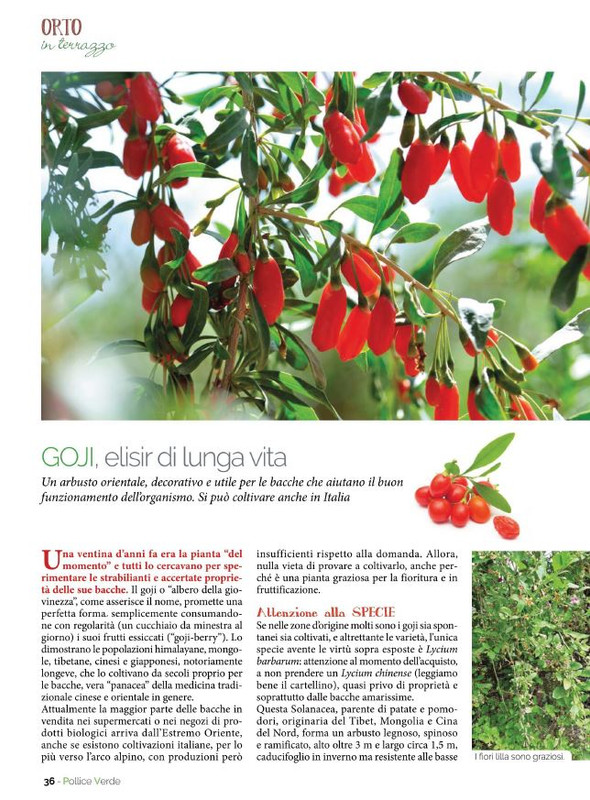 Pol Ver Lug 2022 (5)