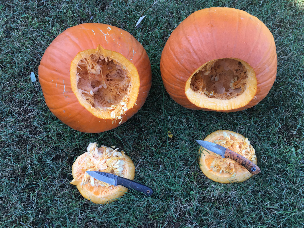 0D7139B8-87AB-4D01-A93E-6C0A5571BB48