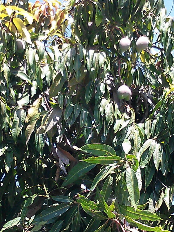 CAM00540