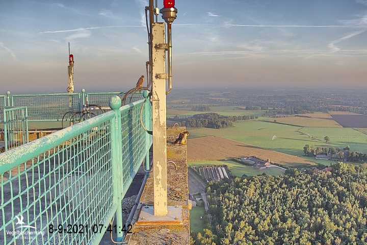 campics vanaf 1 juli  © VWGGemert  en bonusjes van ter plekke - Pagina 25 V3