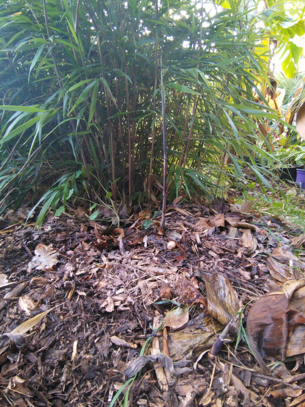 IMG 20261010 091400493