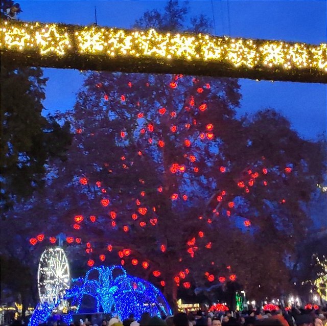 Adios Praga, hola Mercado del Ayuntamiento de Viena y concierto - Viena - Bratislava - Praga, Navidad 2024 (19)