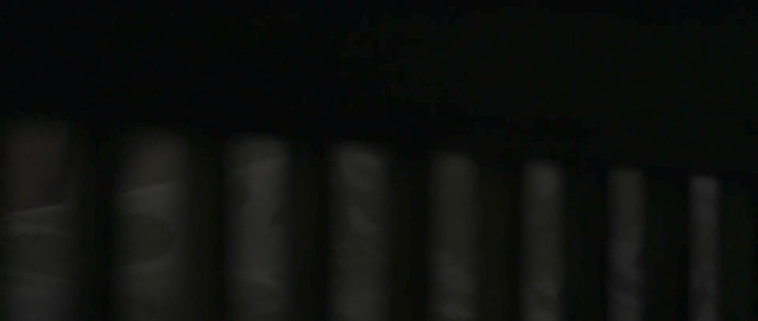 20250216094512.jpg