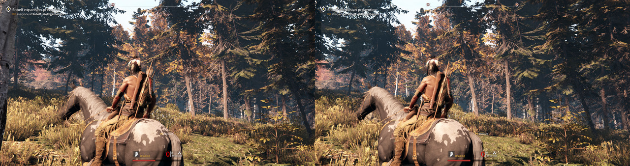 This Land Is My Land007