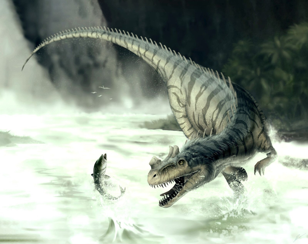 5911f35ad6b312866a943eccf9f5b34e