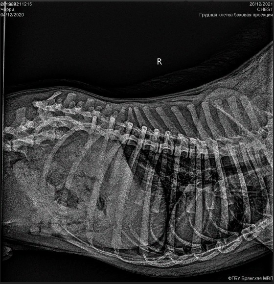 Скриншот 28-12-2021 15_30_32 (1)